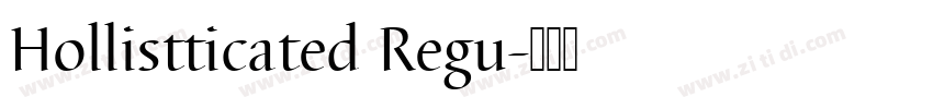 Hollistticated Regu字体转换